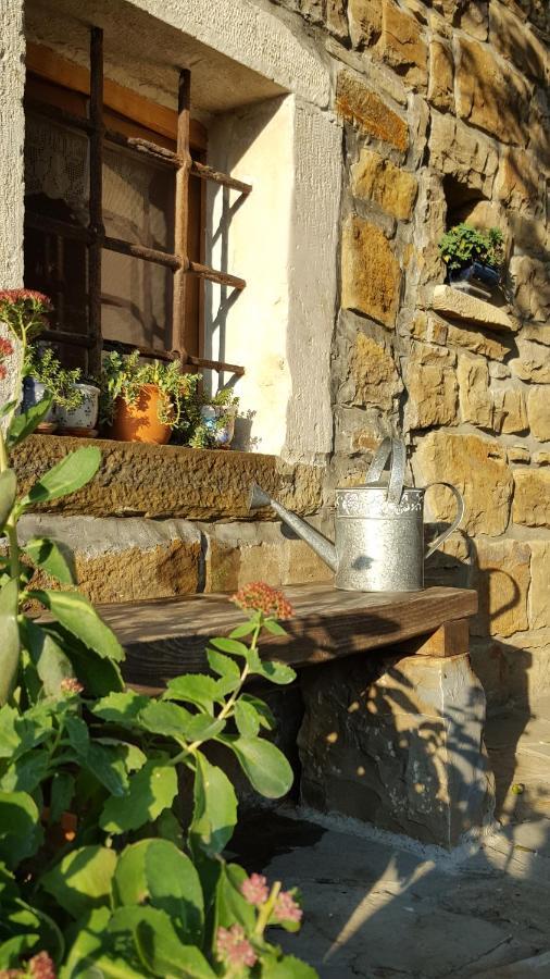 Villa Istrian Stone House Sečovlje Exterior foto